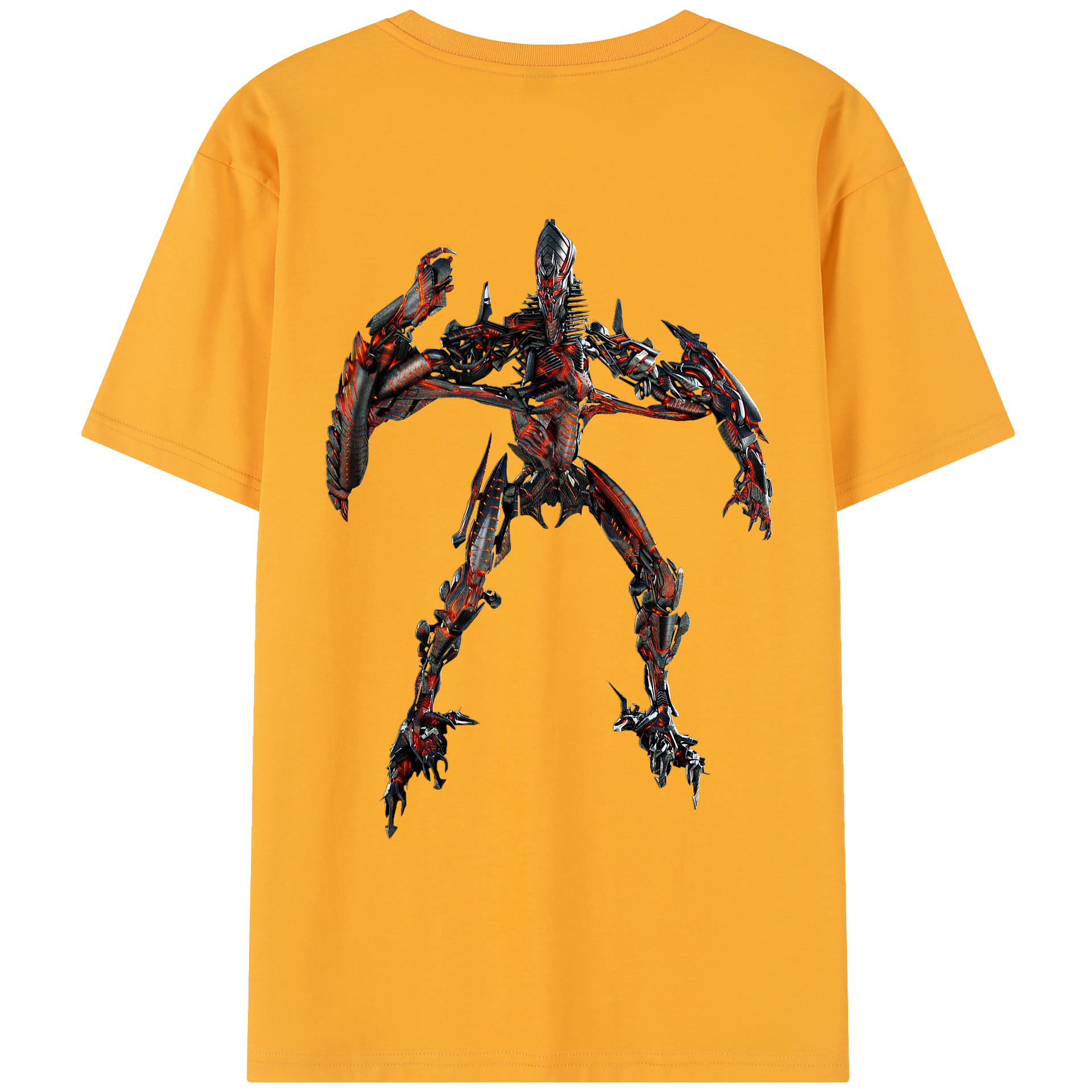 レディース半袖Tシャツ(バックプリント)