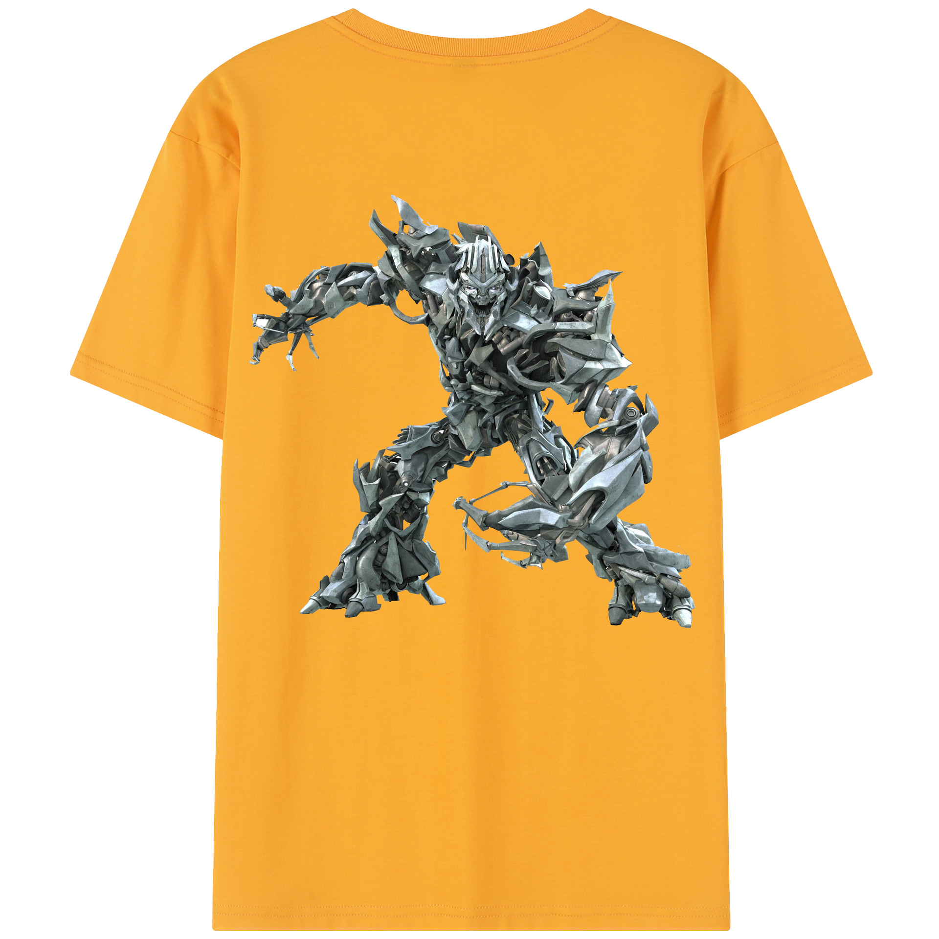 （画像用）  レディース半袖Tシャツ(バックプリント)