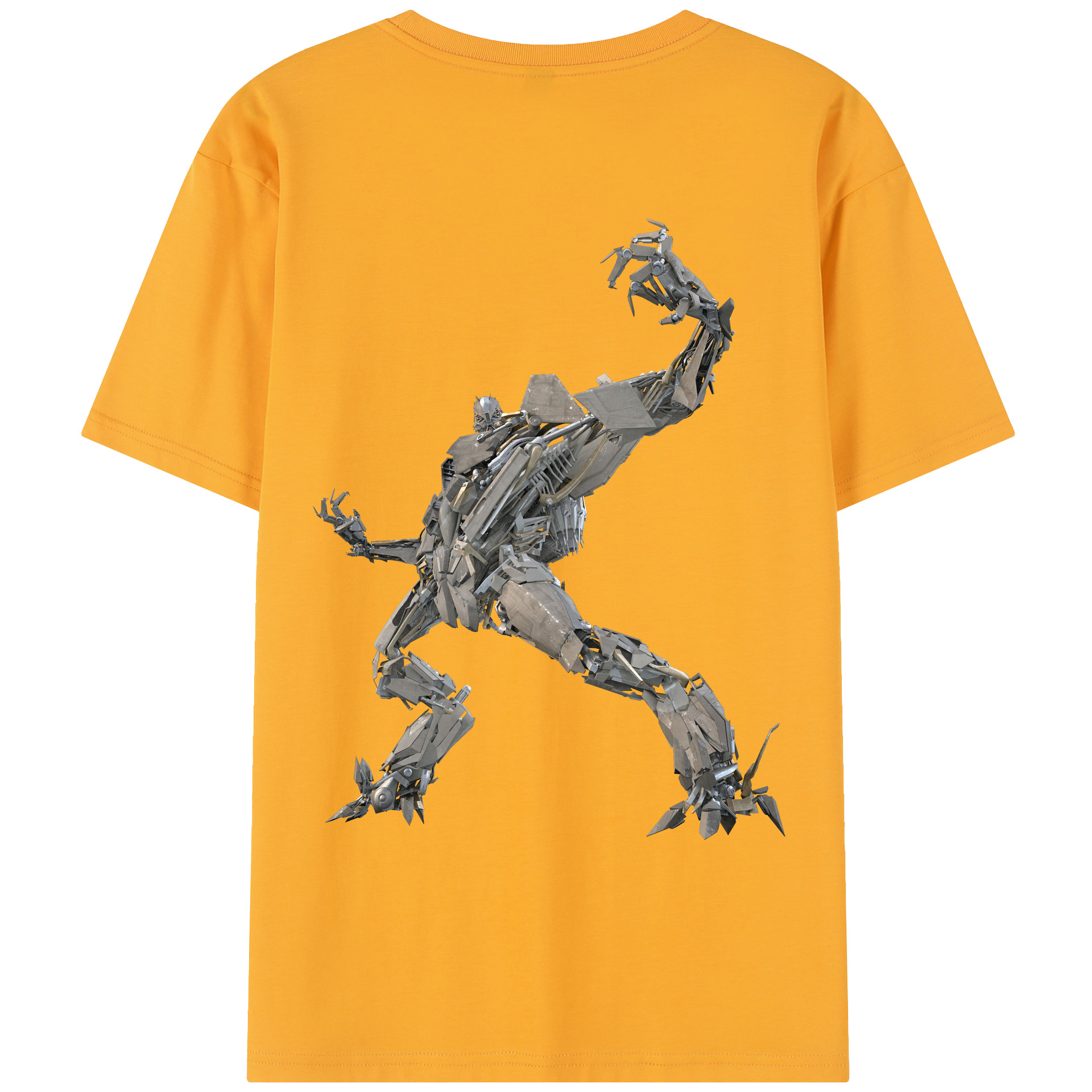 （画像用）  レディース半袖Tシャツ(バックプリント)