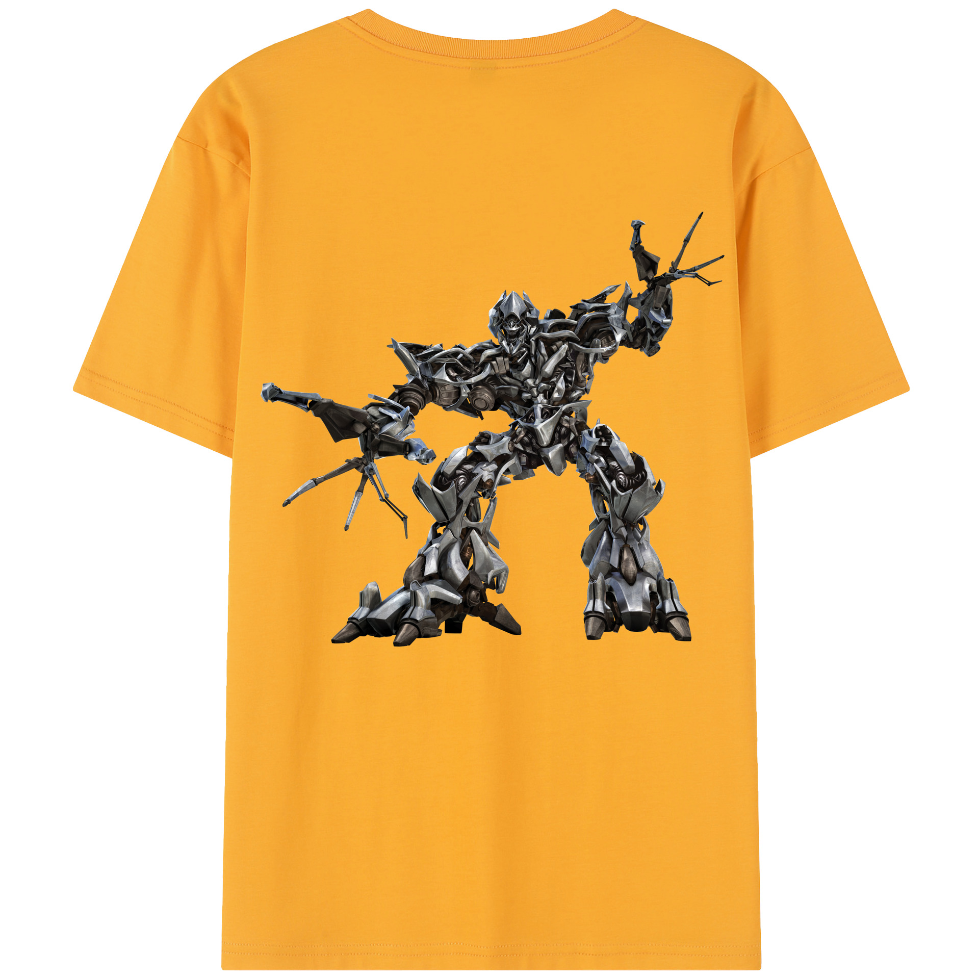 （画像用）  レディース半袖Tシャツ(バックプリント)