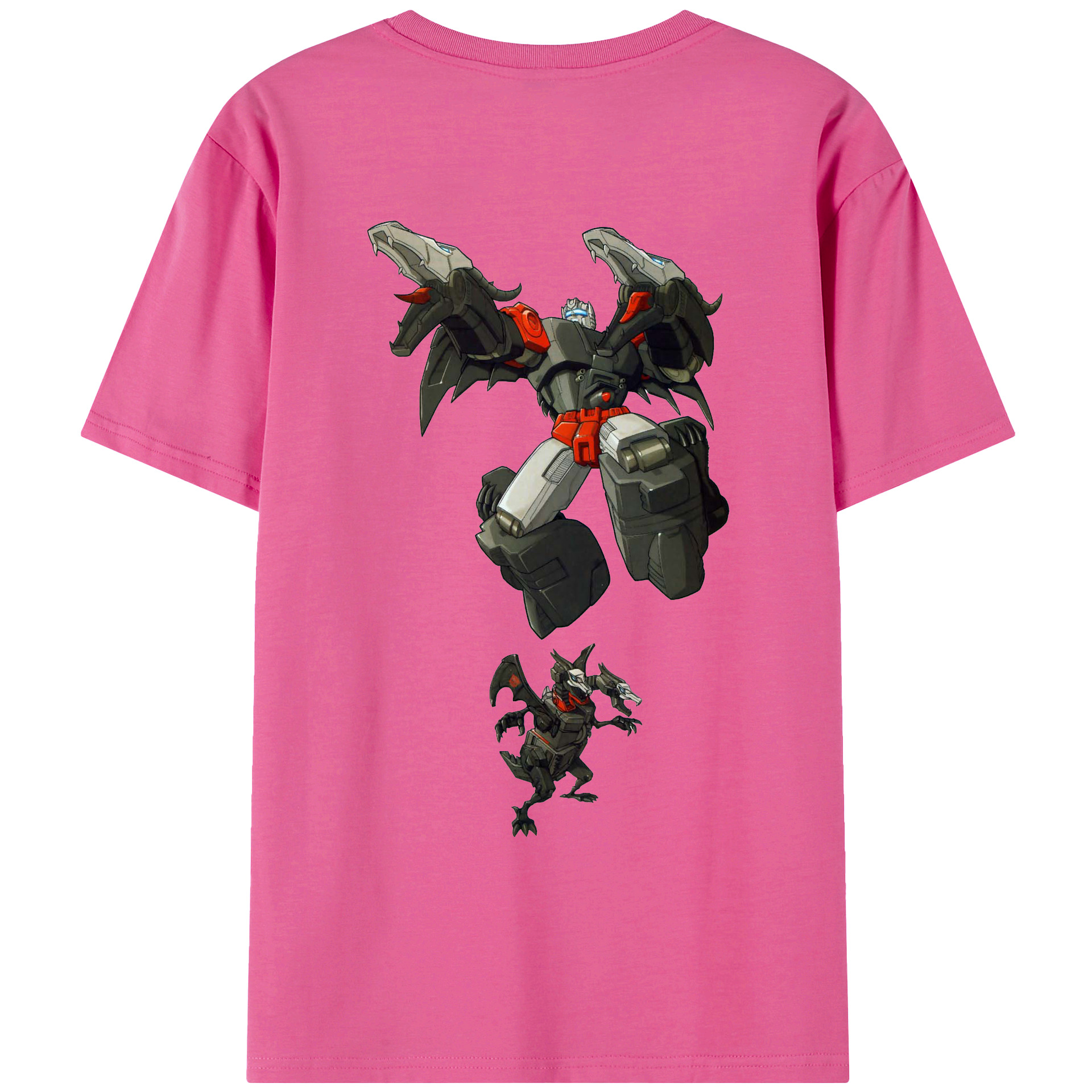 （画像用）  レディース半袖Tシャツ(バックプリント)