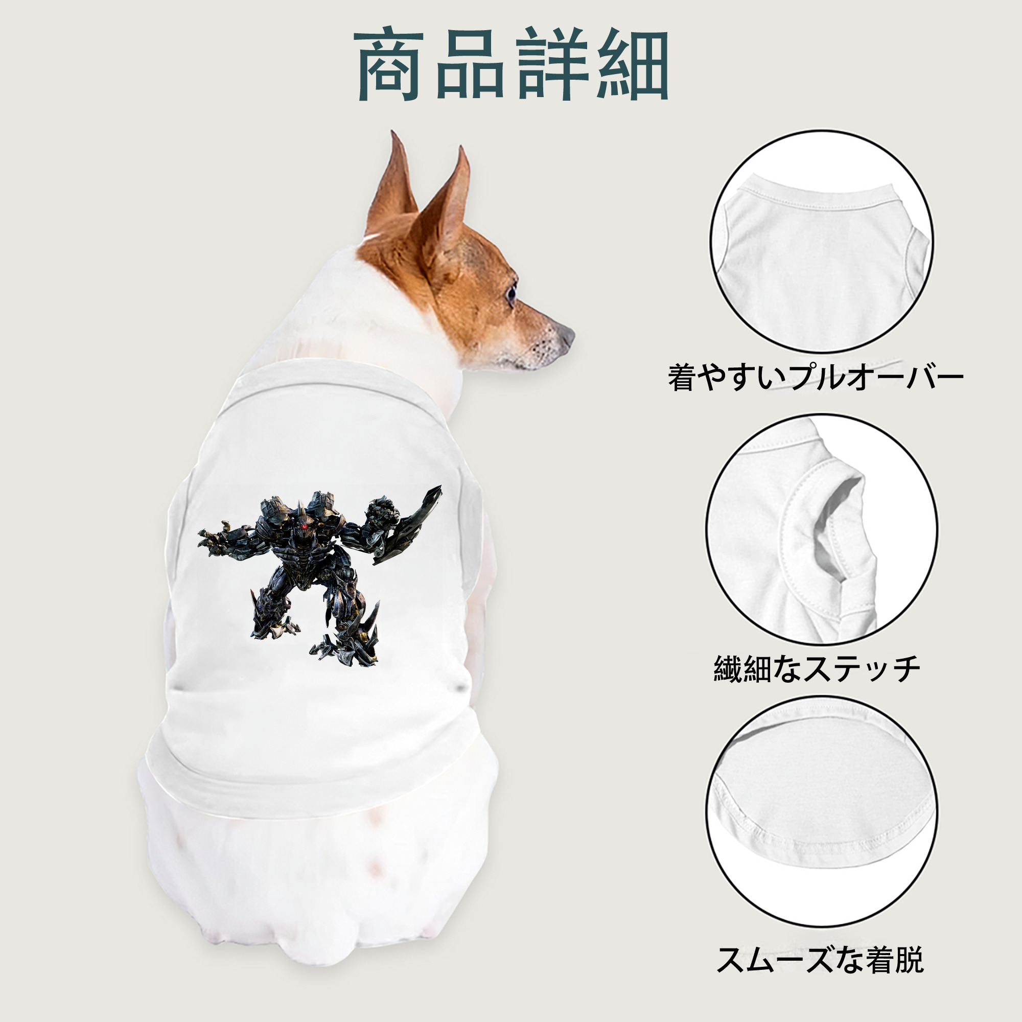 一般的なイメージ