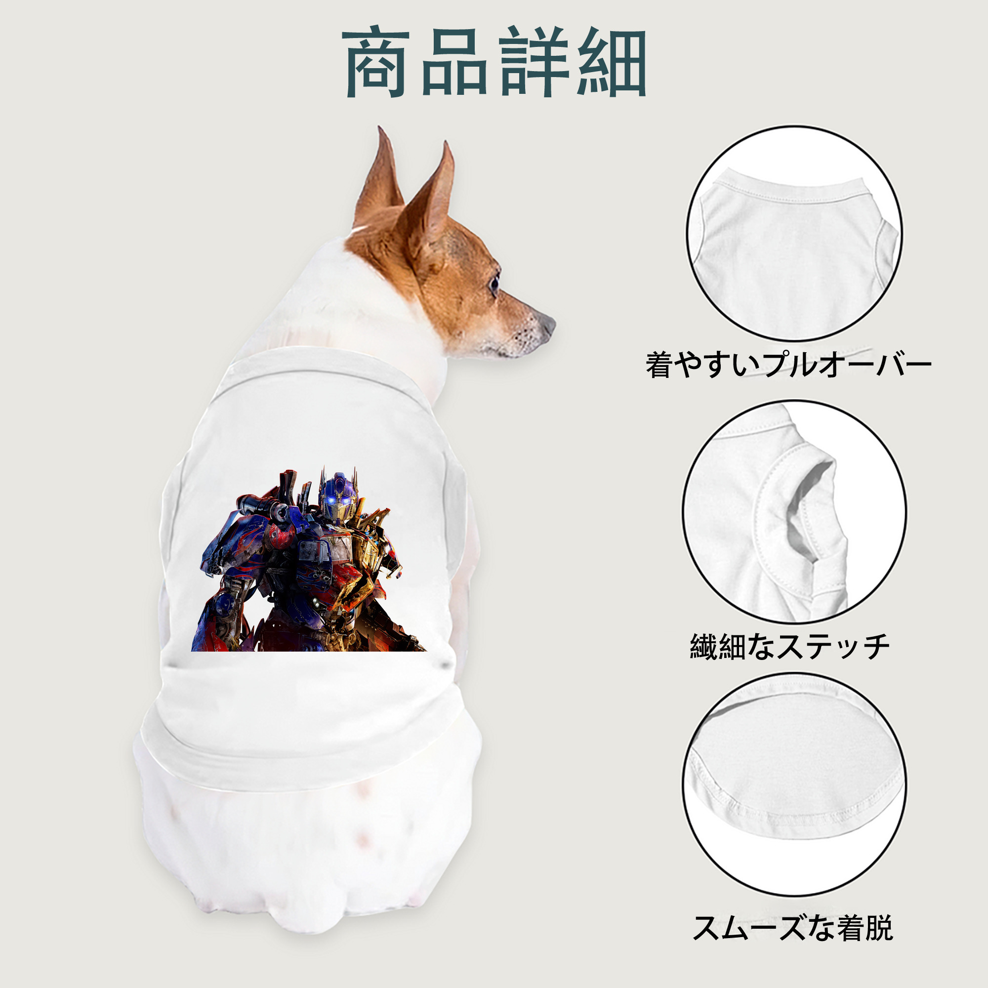 一般的なイメージ