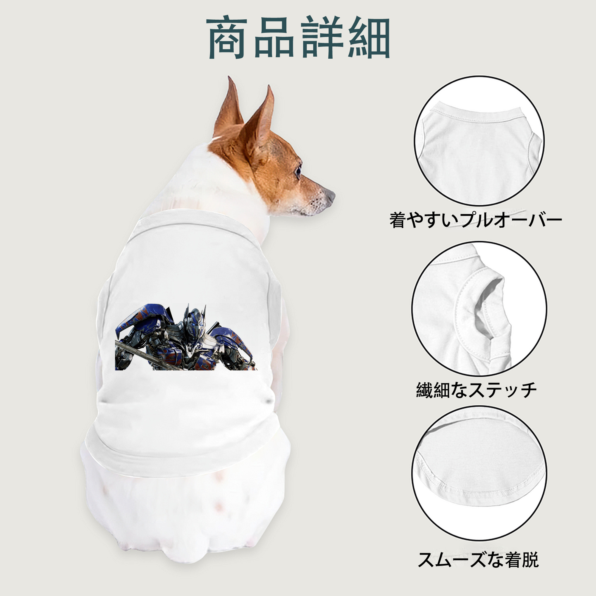 一般的なイメージ