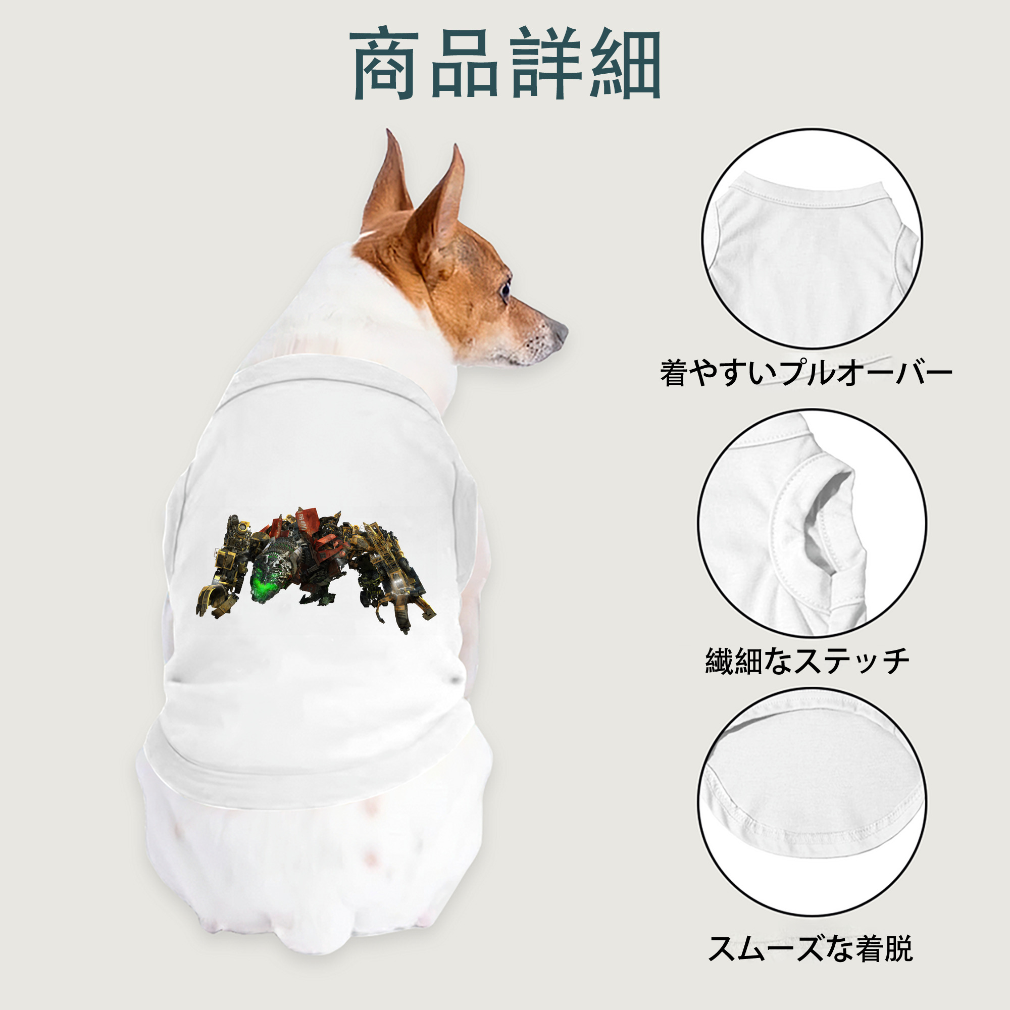 一般的なイメージ
