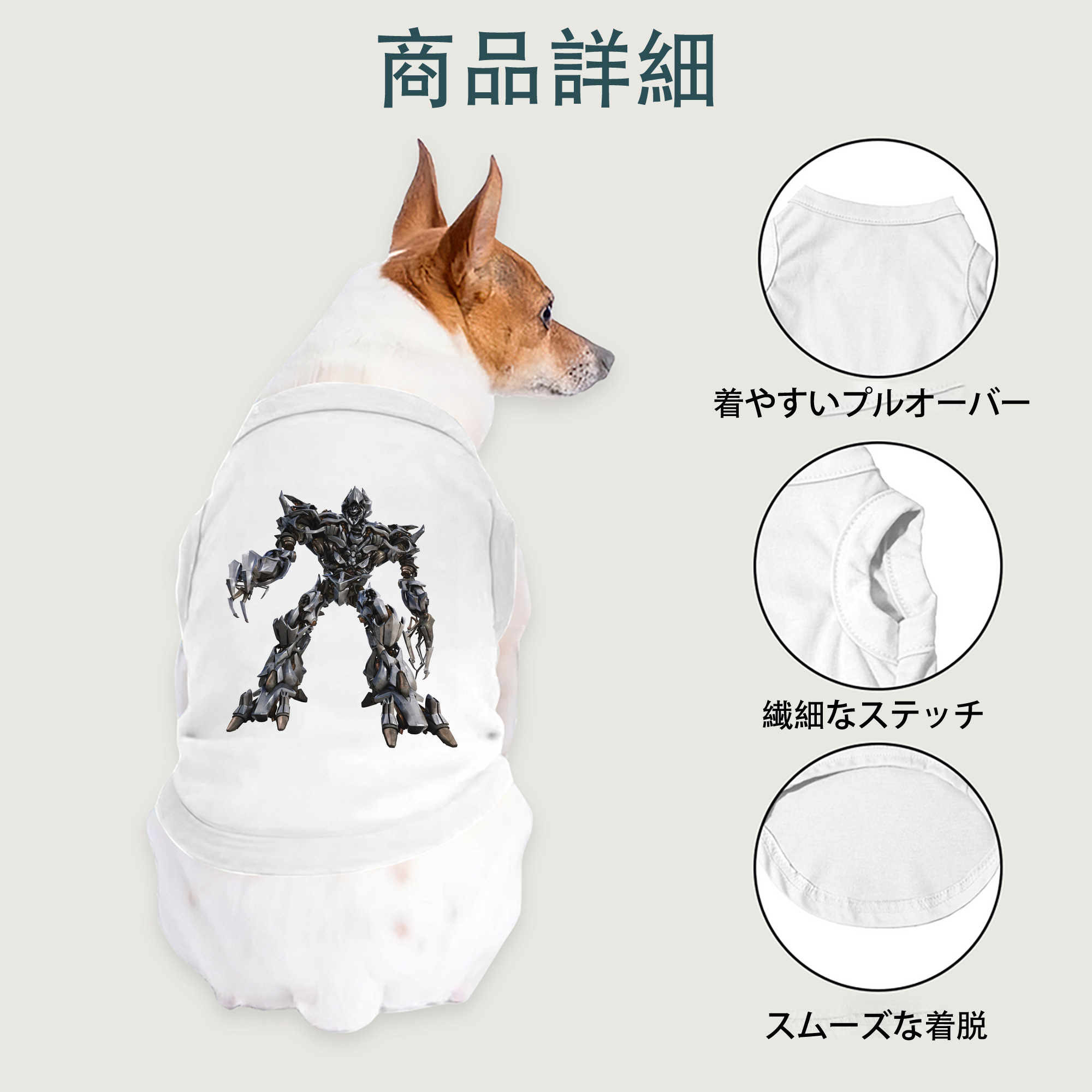 一般的なイメージ