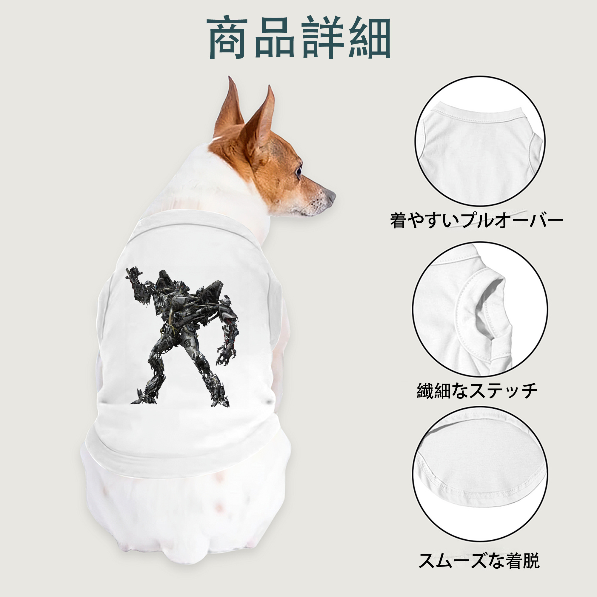 一般的なイメージ