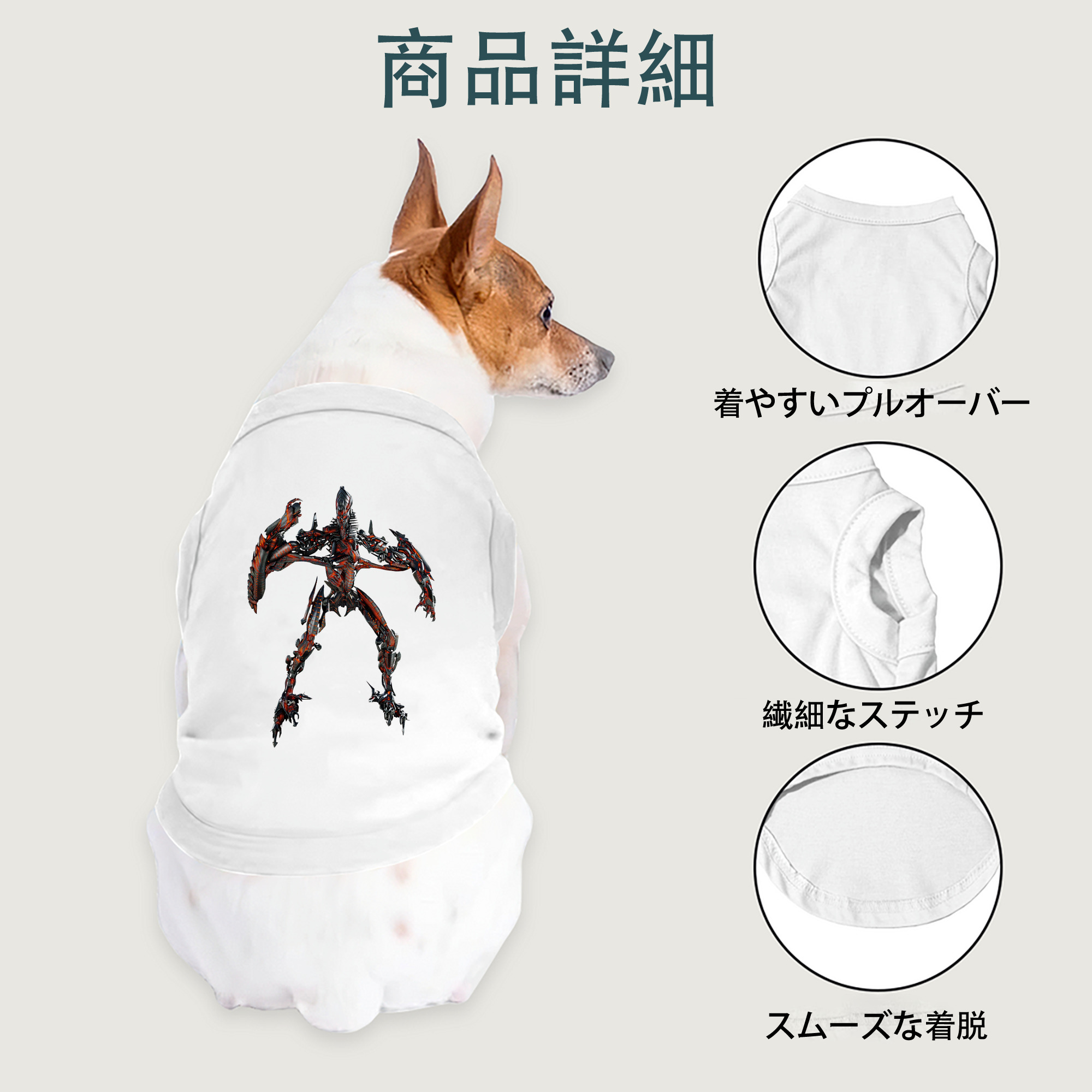 一般的なイメージ