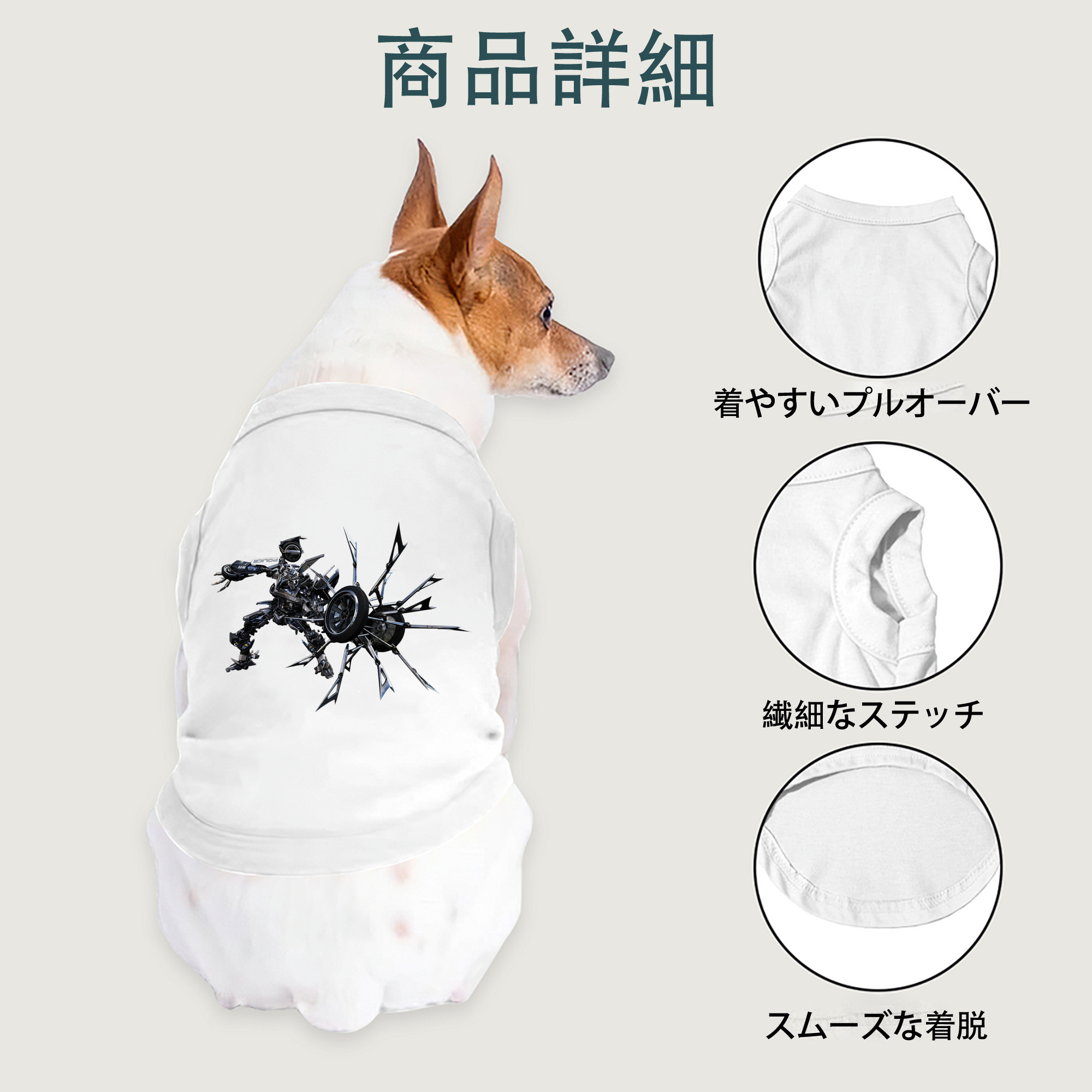 一般的なイメージ