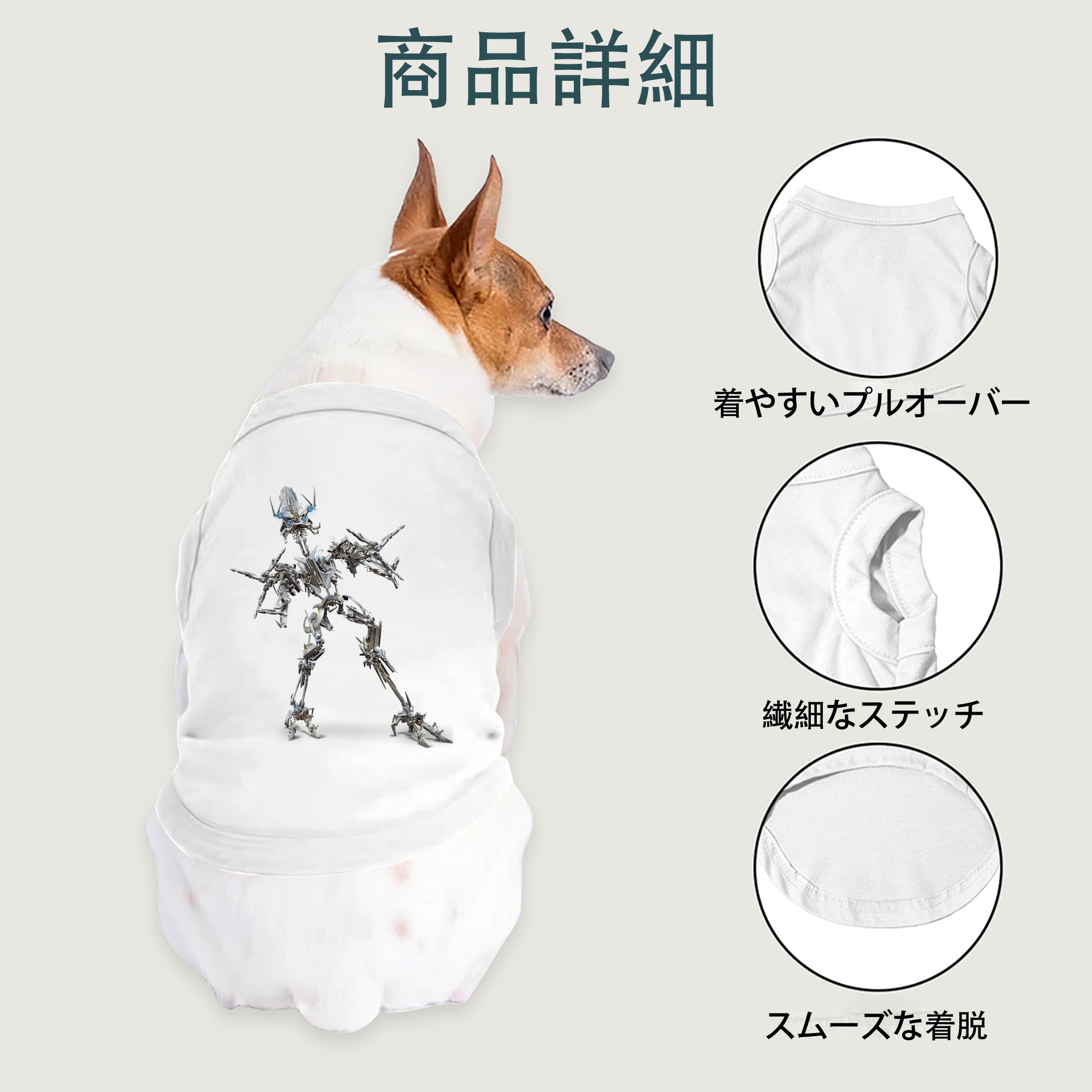 一般的なイメージ