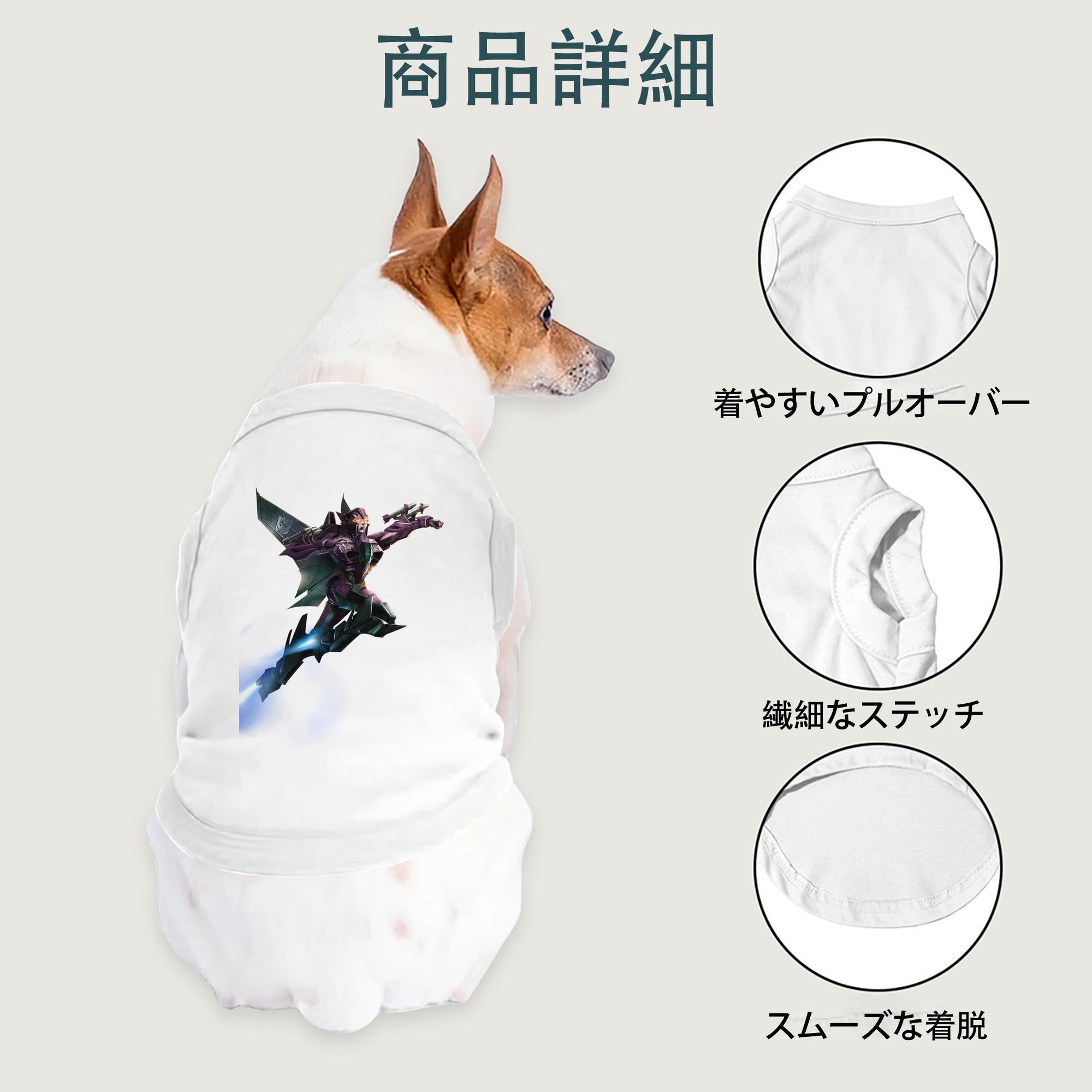 一般的なイメージ