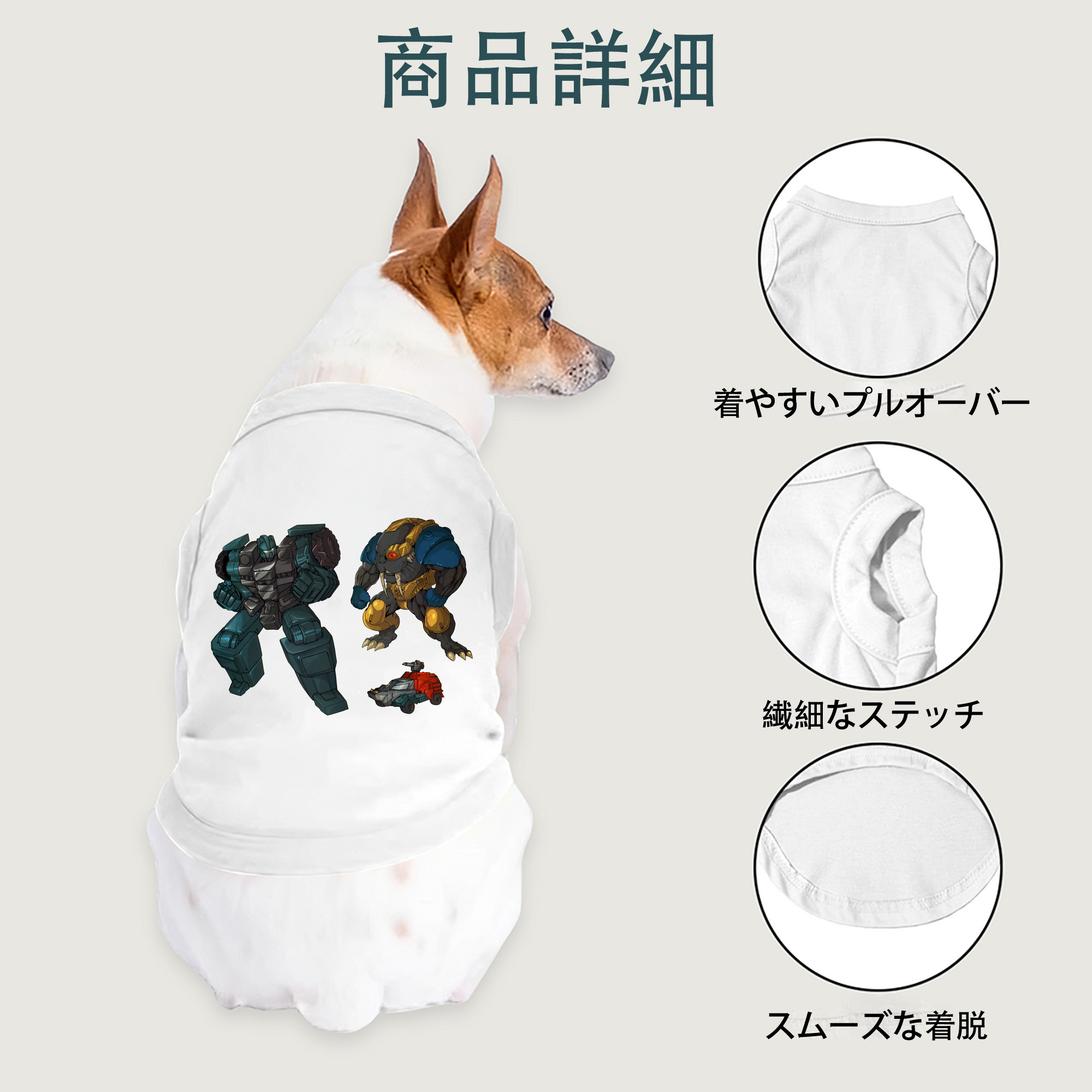 一般的なイメージ