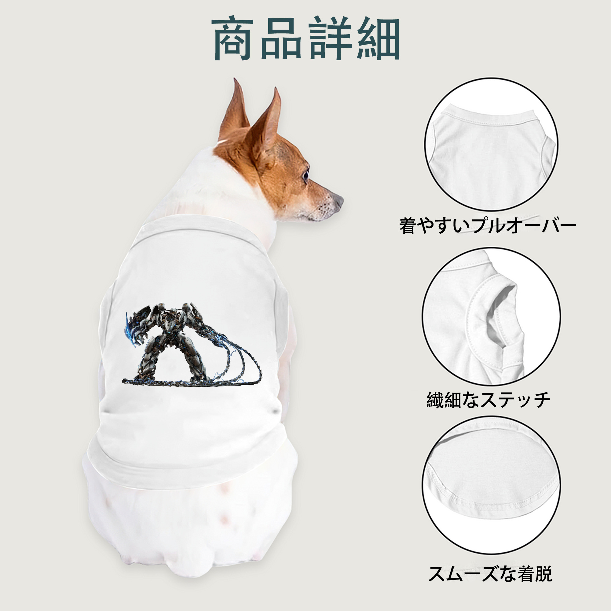 一般的なイメージ
