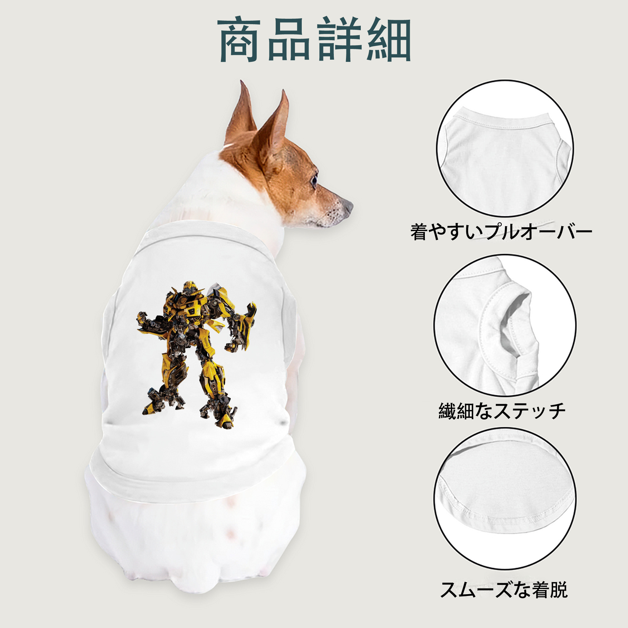 一般的なイメージ