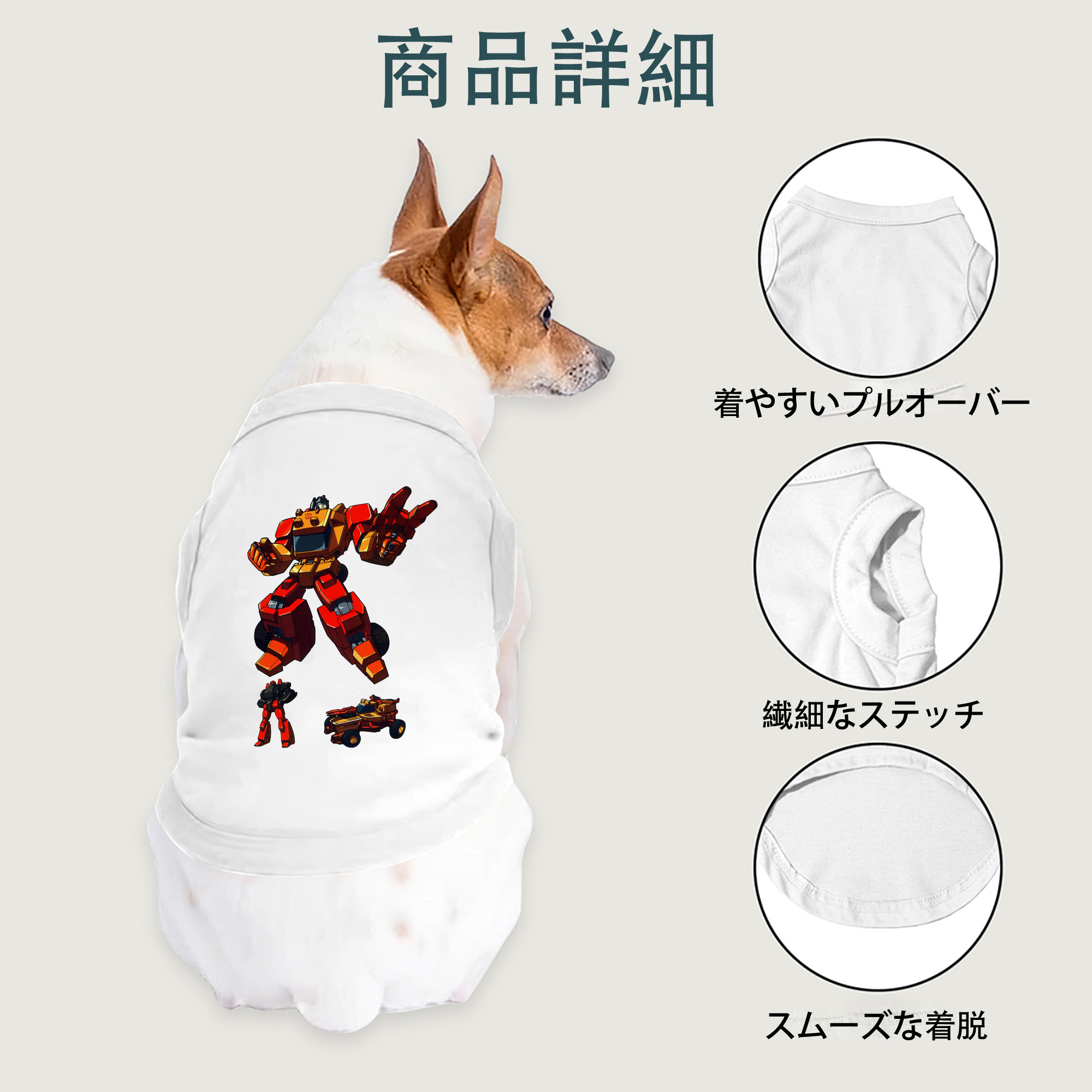 一般的なイメージ