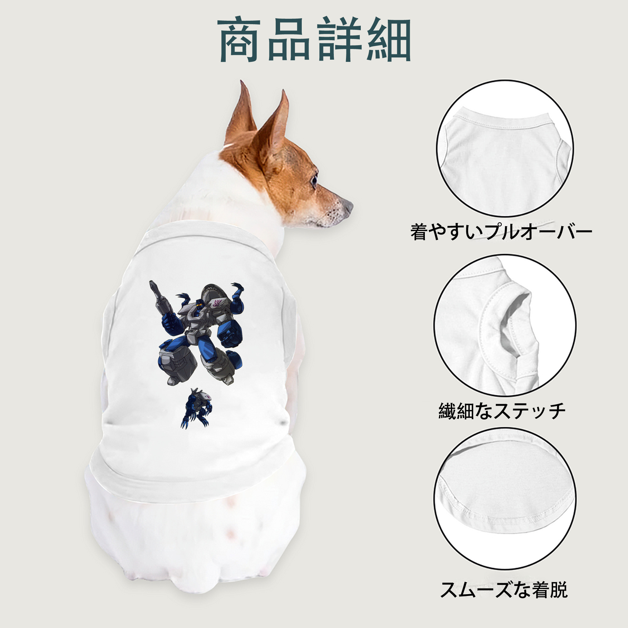 一般的なイメージ