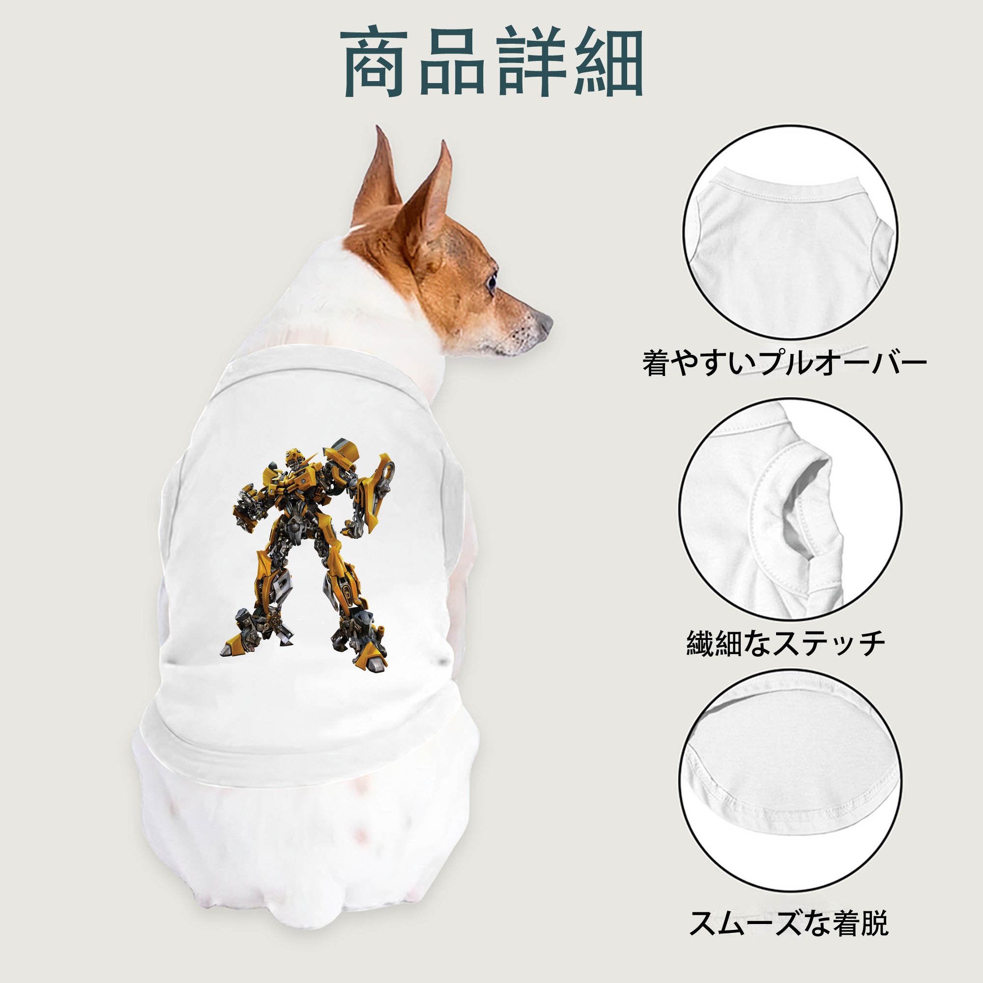 一般的なイメージ