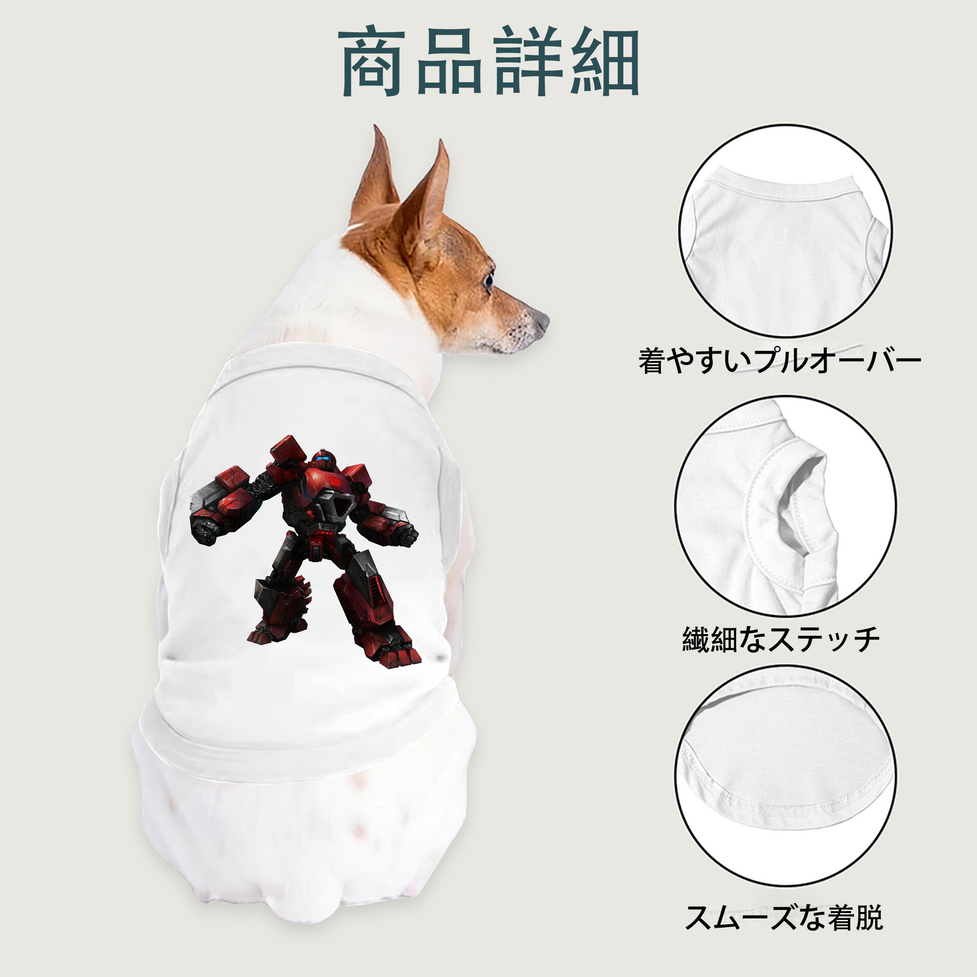 一般的なイメージ
