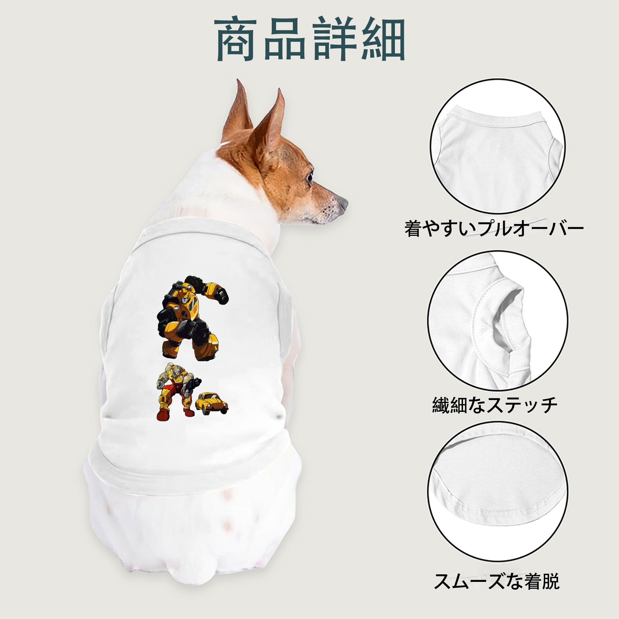 一般的なイメージ