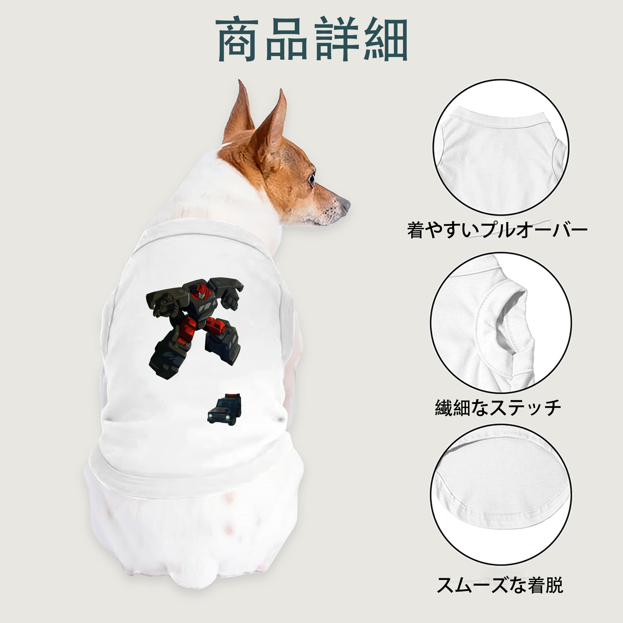 一般的なイメージ
