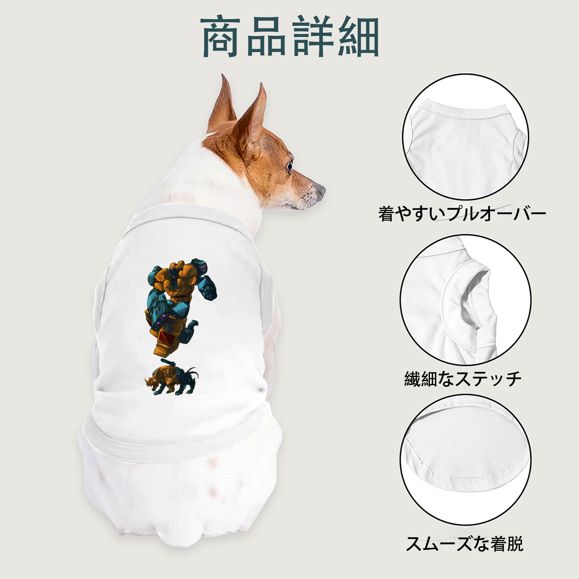 一般的なイメージ
