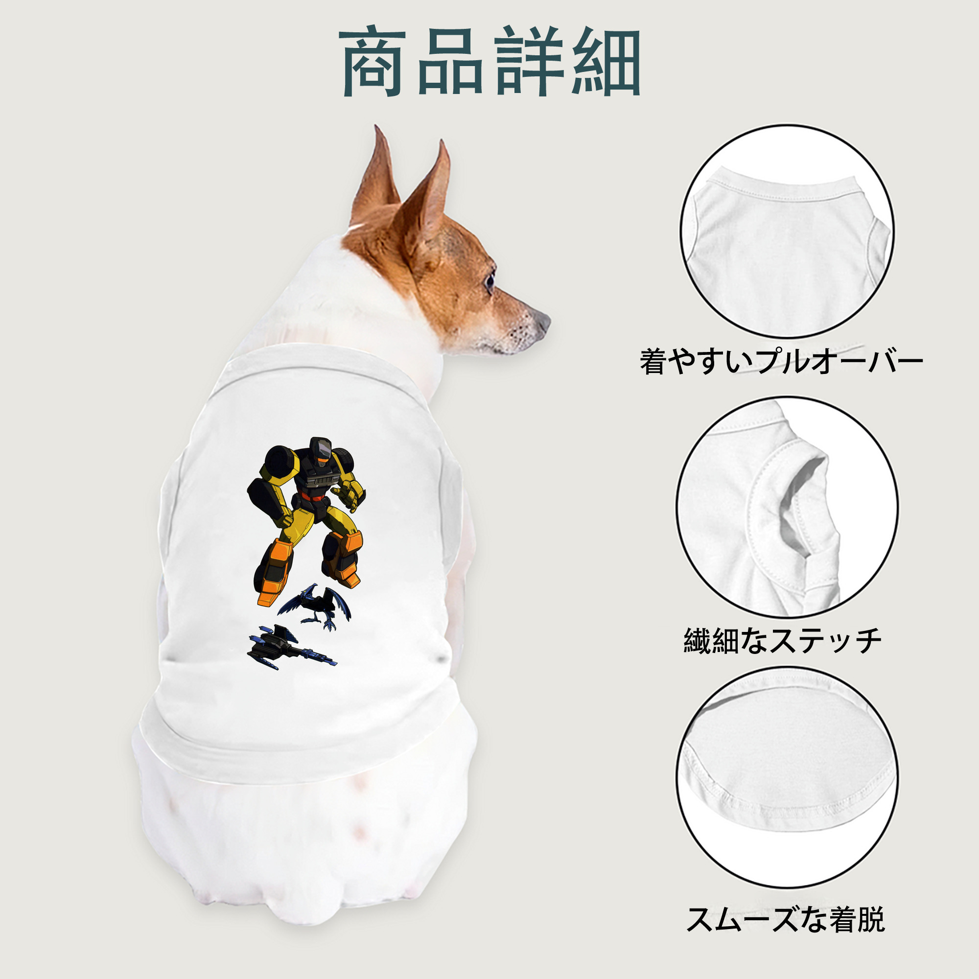 一般的なイメージ