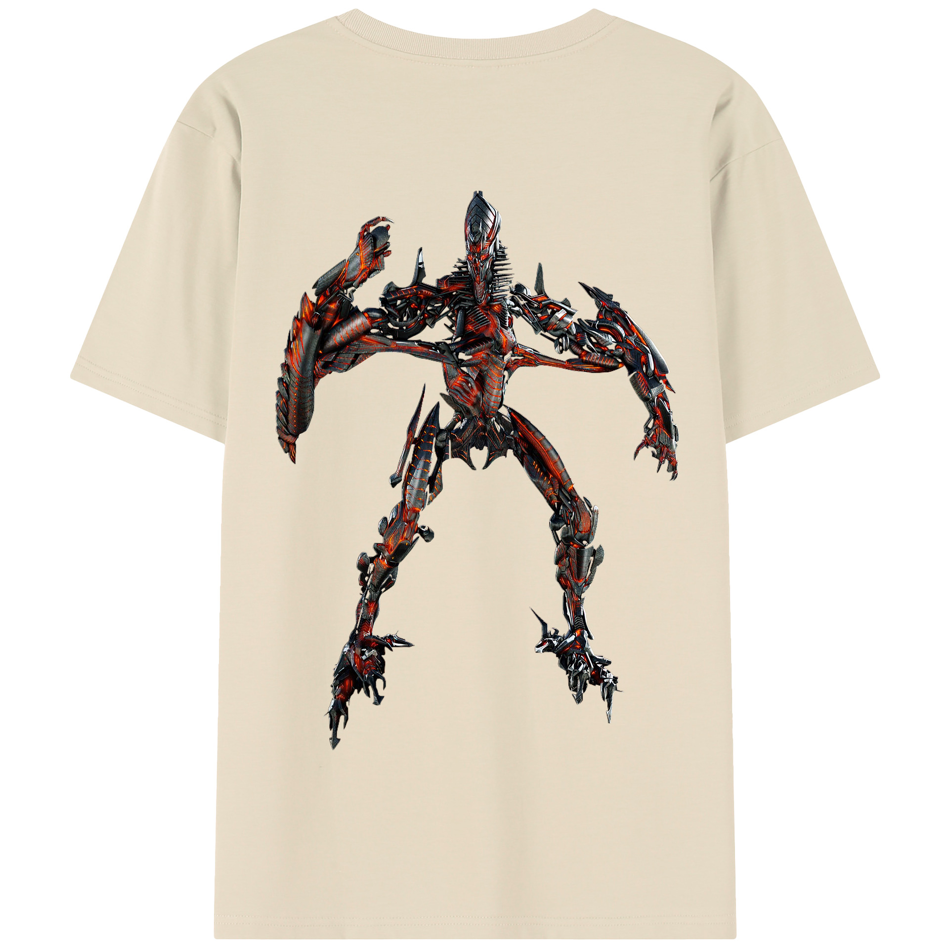 （画像用）  綿100％半袖Tシャツ（背面プリント）