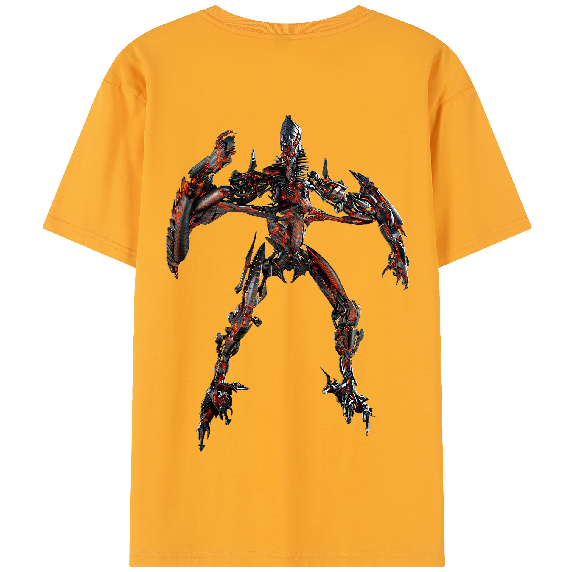 （画像用）  綿100％半袖Tシャツ（背面プリント）
