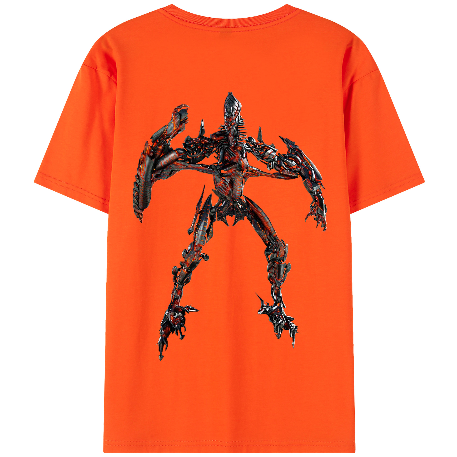 （画像用）  綿100％半袖Tシャツ（背面プリント）