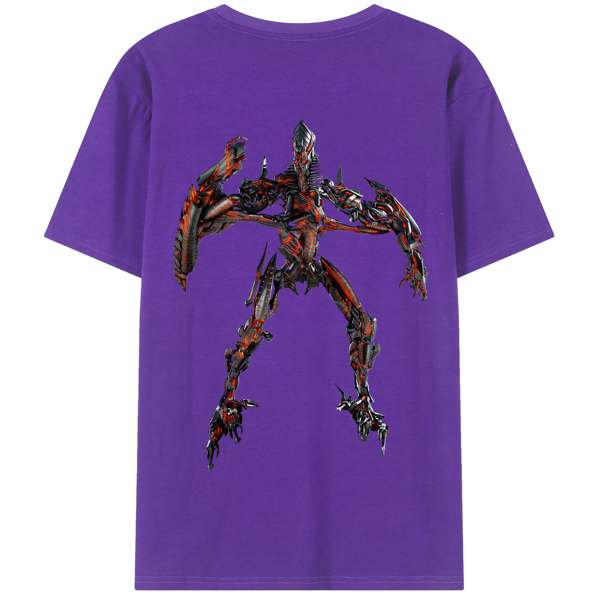 （画像用）  綿100％半袖Tシャツ（背面プリント）
