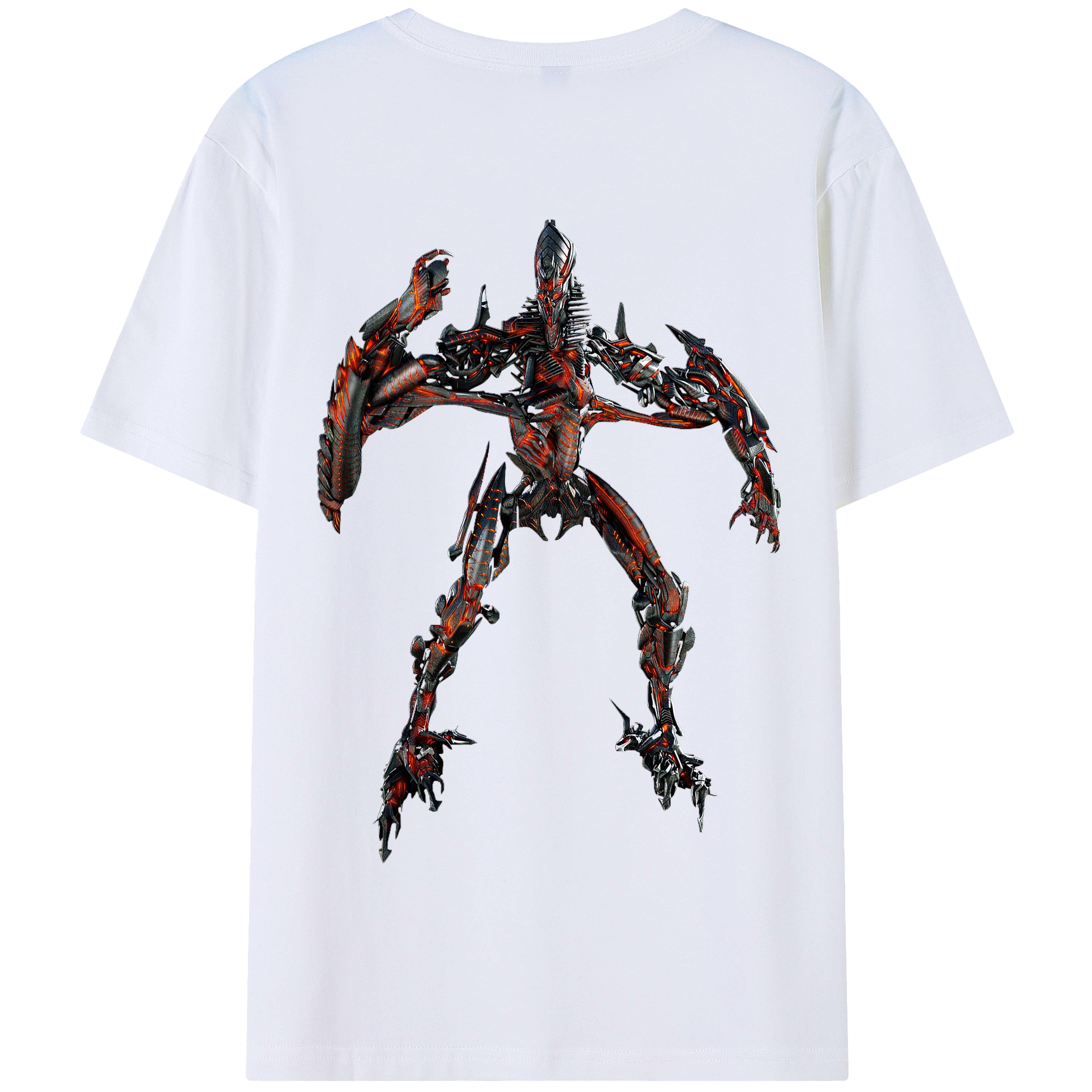 （画像用）  綿100％半袖Tシャツ（背面プリント）