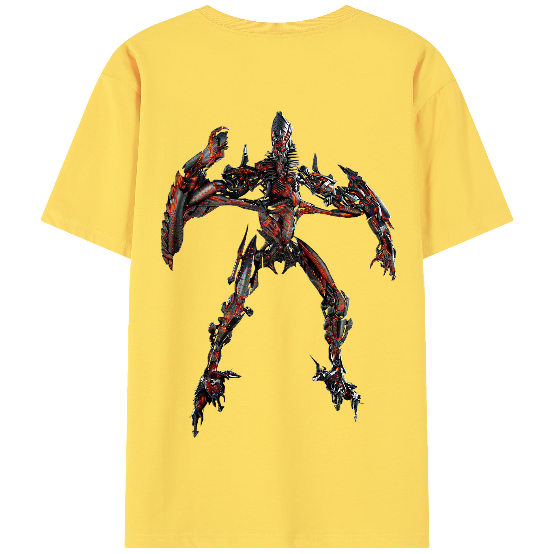 （画像用）  綿100％半袖Tシャツ（背面プリント）