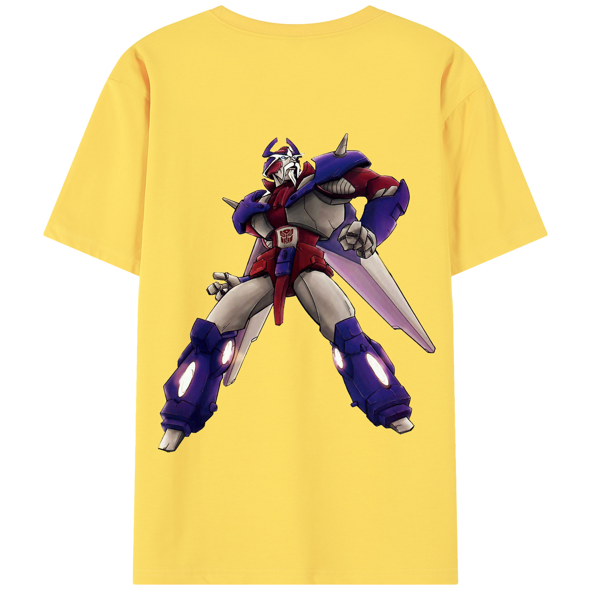 （画像用）  綿100％半袖Tシャツ（背面プリント）